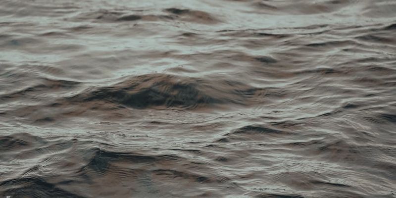 Water ripples suggesting a calm and rhythmic pattern.